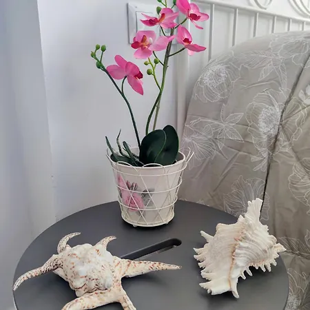 Beach Studio Torremolinos Διαμέρισμα *