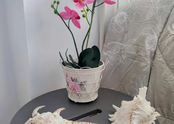 Beach Studio Torremolinos Appartamento *